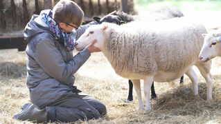 Milena Gerken takes a close look at a sheep.