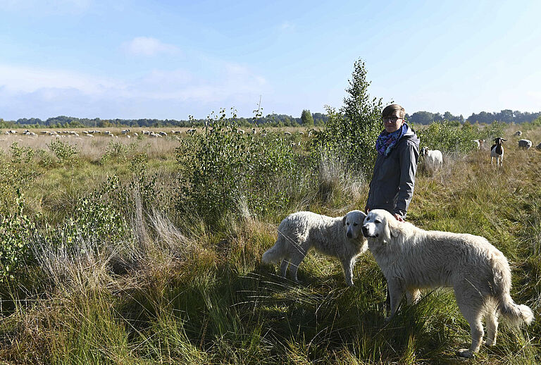 Milena Gerken steht mit zwei Herdenschutzhunden auf der Schafweide.