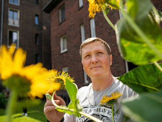 Man in the garden by the flower bed