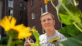 A man stands in the courtyard in front of a bed of sunflowers.