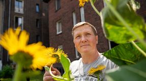 Ein Mann steht im Innenhof vor einem Beet mit Sonnenblumen.