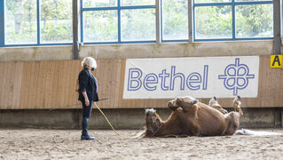 Besitzerin führt Tricks mit ihrem Pferd vor