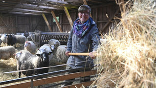 Milena Gerken works in the stables.