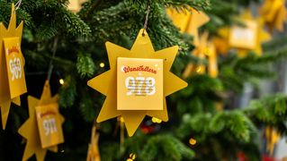 Wunschstern am Baum.