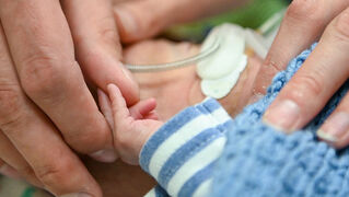 Mother's hand holds Anton's hand.