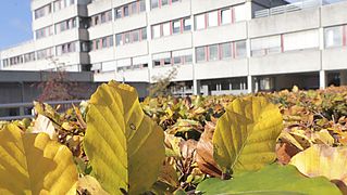 Pflegeschule Nazareth: Ausbildung für examinierte Altenpflegerinnen und Altenpfleger für die Praxisfelder der Behinderten- und Altenhilfe