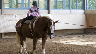 Mädchen reitet rückwärts auf Pferd