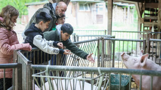 Kinder stehen am Schweinegehege