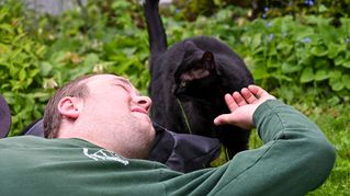 Ein junger Mann streckt sich zu einer Katze.