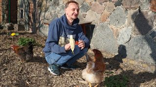 Mann hockt vor einem Huhn.