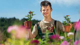 Ein junger Mann arbeitet in Bethels Gärtnerei