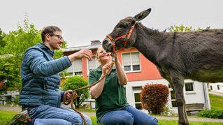 Stefan Simon and Gisela Krohn sit in a meadow and stroke a donkey.