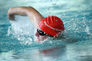 Schwimmer im Becken