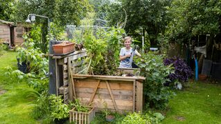 Kai stands at the raised bed with a planting trowel.