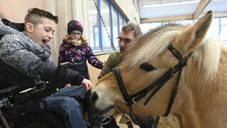 Jonas lacht und streichelt Therapiepferd Paul. 