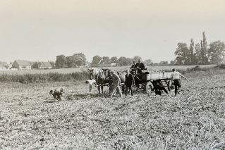Historische Aufnahme von Männern, die auf dem Feld arbeiten