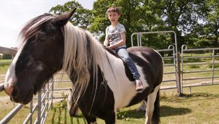 Ein Junge sitzt auf einem Pferd.